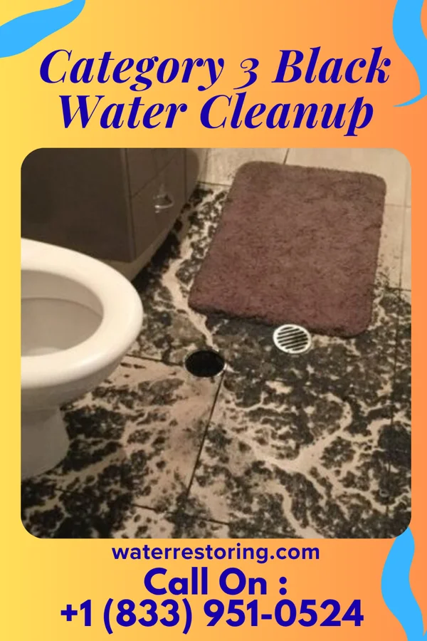 Category 3 Black Water Cleanup in Mount Penn, PA