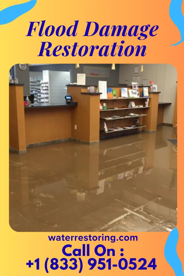 Flood Damage Restoration in Mount Penn, PA