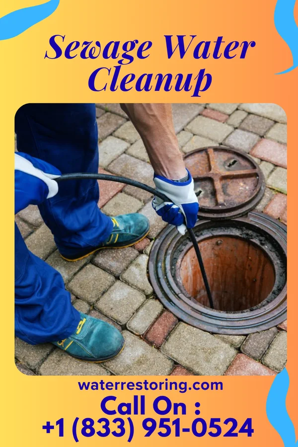Sewage Water Cleanup in Mount Penn, PA