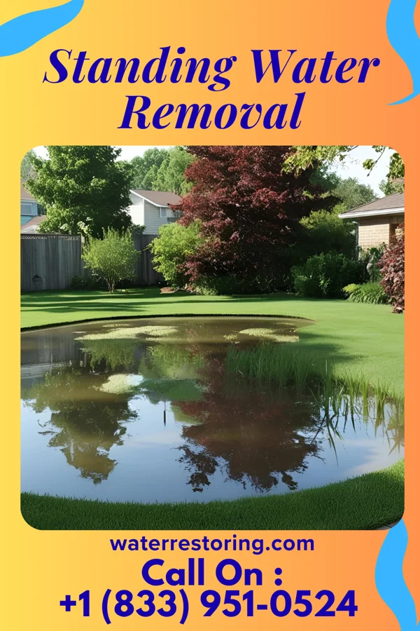 Standing Water Removal in Mount Penn, PA
